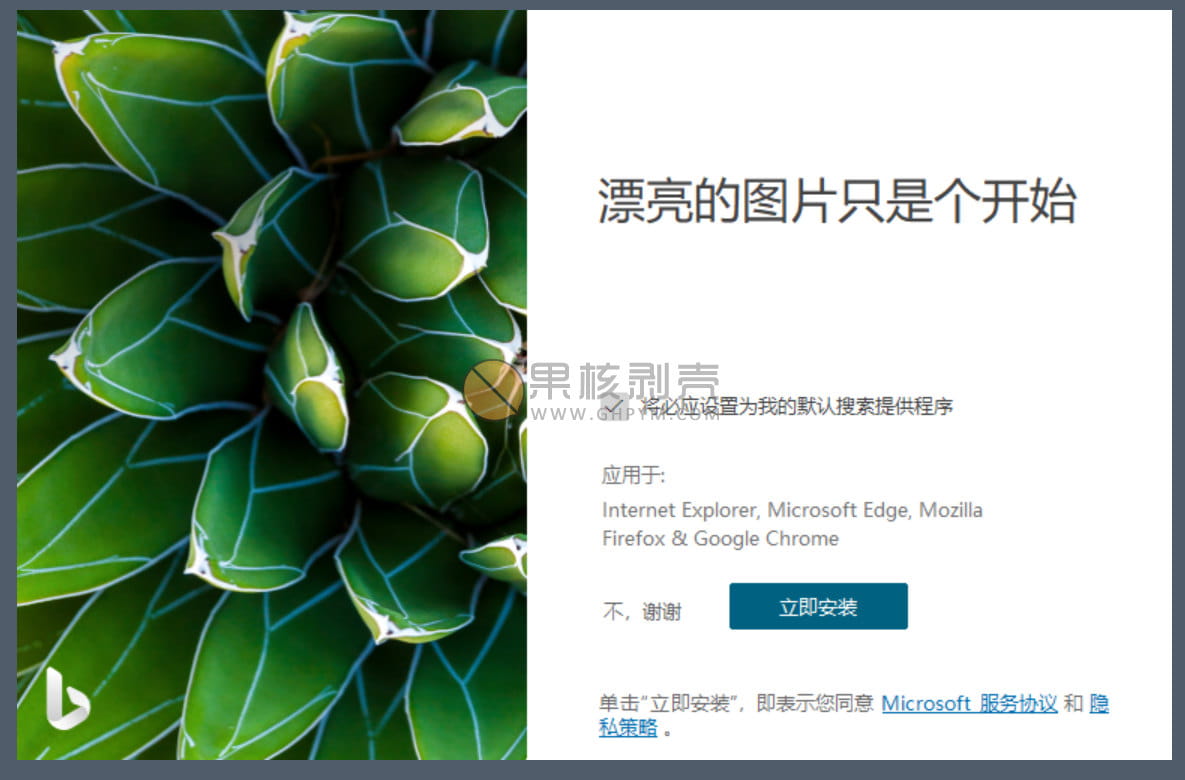 Bing Wallpaper(微软壁纸) v2.0.0.5 中文多语免费版