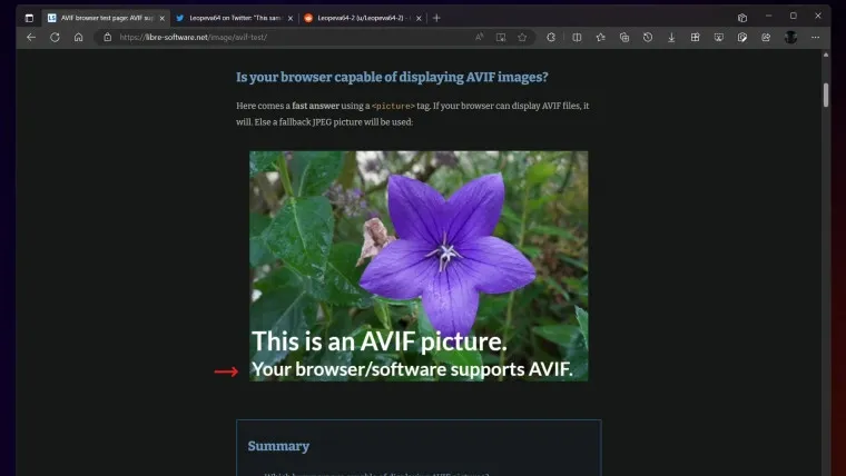 微软Edge开始准备提供AVIF格式支持