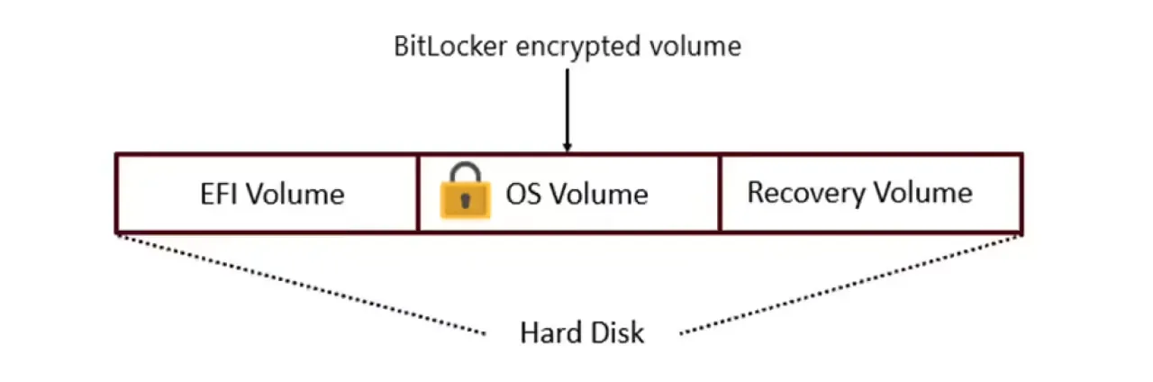 微软紧急修复 Win10 / Win11 漏洞，被利用可窃取全盘加密数据
