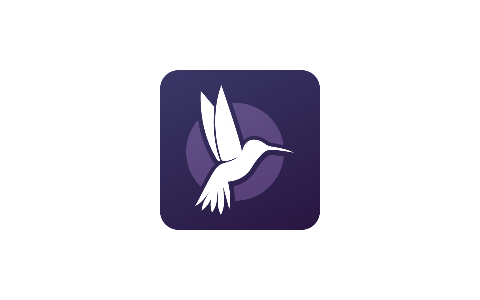 Acdsee Video Studio 4.0.1.1013 修改版