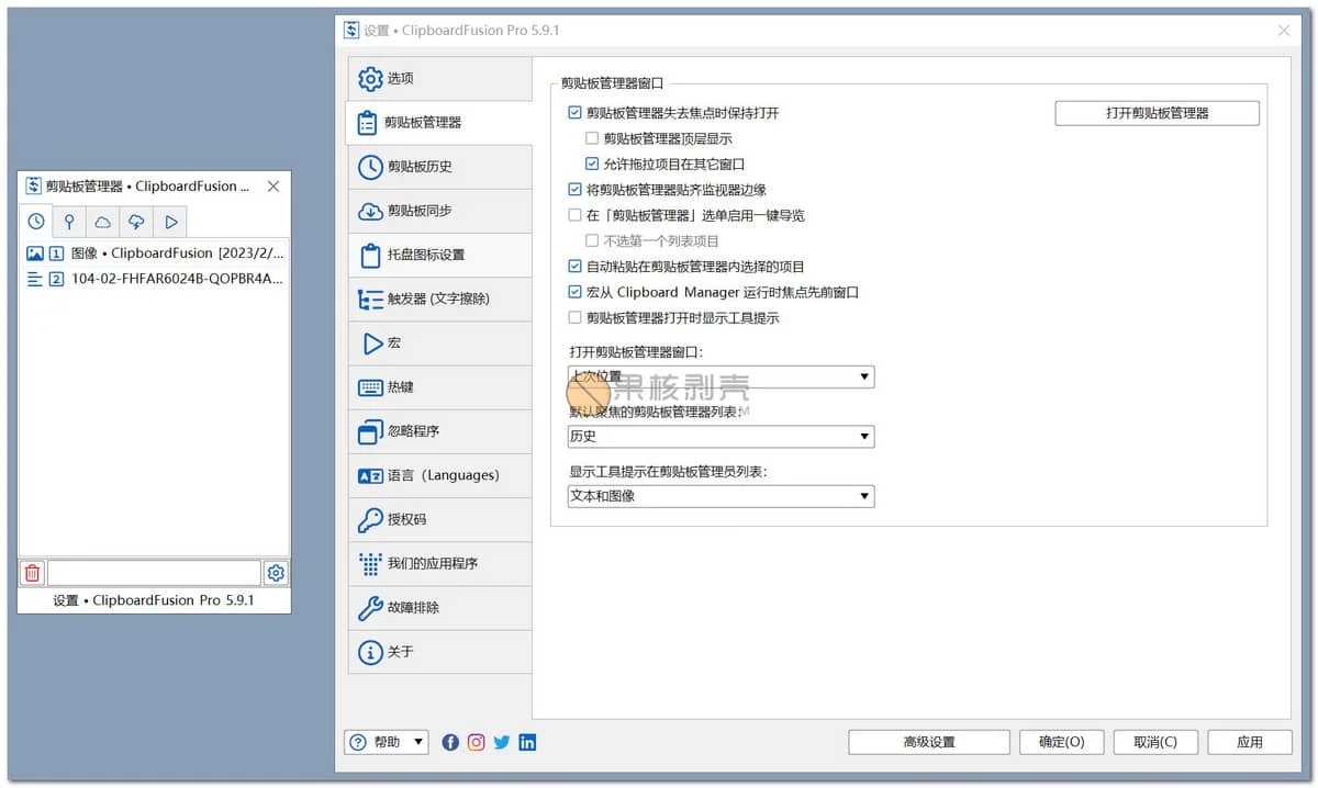 ClipboardFusion(剪切板工具) v6.1 高级便携版 果核剥壳